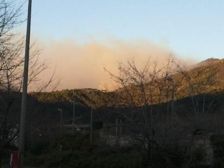 Riprende l’incendio del bosco di Gravina In pericolo ettari di vegetazione