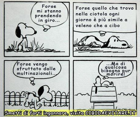 Anche Snoopy lo ha capito