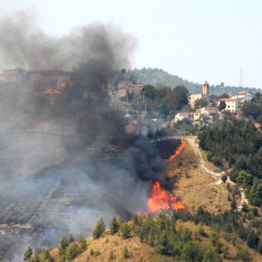 Incendio boschivo a Rotonda: il responsabile deferito alla Procura della Repubblica di Lagonegro