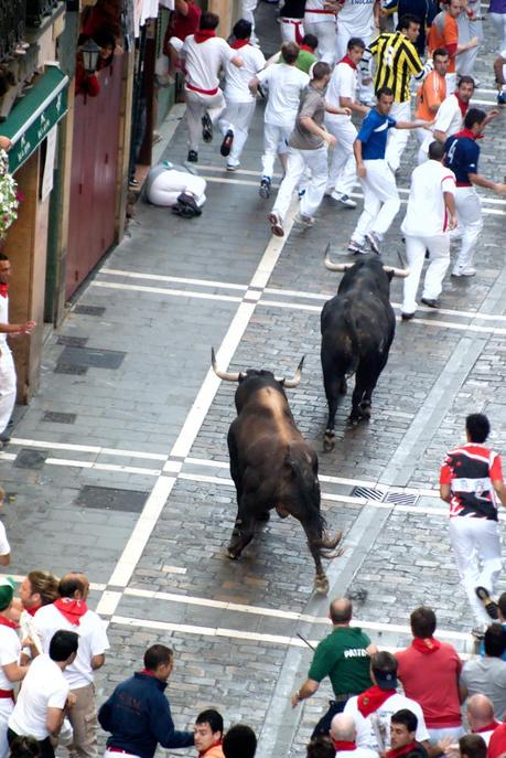 toro a Pamplona