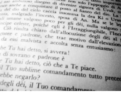 In lettura (07.07.12)