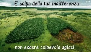 La truffa del cambiamento climatico: problema-reazione-soluzione by Al Gore