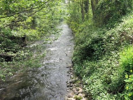 The protection of the water of the river Olona