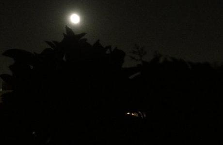 La luna, e una canzone