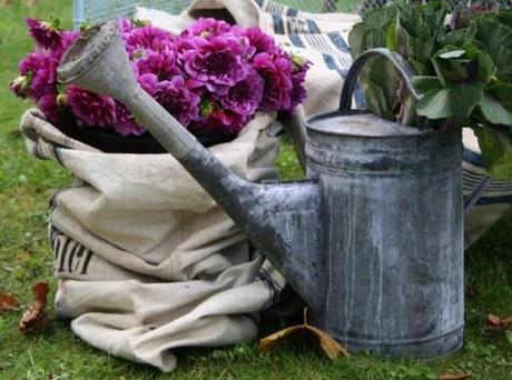 Old Watering Cans