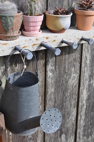 Old Watering Cans