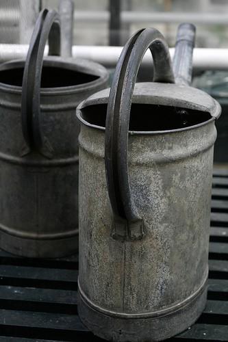 Old Watering Cans