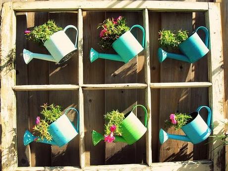 Old Watering Cans