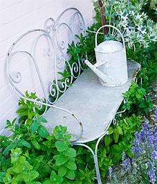 Old Watering Cans