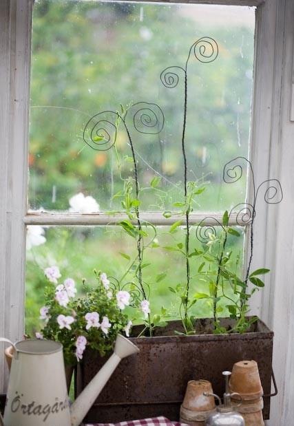 Old Watering Cans