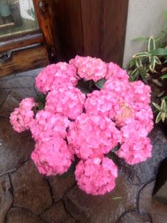 Una pasticceria a Kamakura