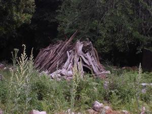 Sardegna non solo mare Visita al Supramonte, il cuore dell’Isola