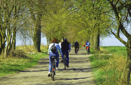 Riviera Adriatica? Luglio e Agosto ecosostenibile, scegli treno e bici 