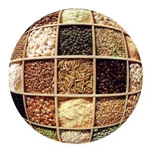 Cerealicoltura nel mondo antico