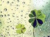 Semplicità meraviglia