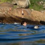 Rio de Janeiro: sorpresa sulla spiaggia, arrivano i pinguini