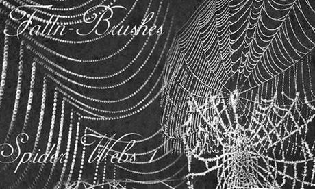 spider web brushes