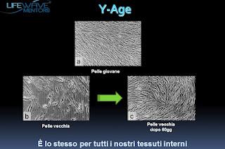 PER RINGIOVANIRE: scoprite la Carnosina