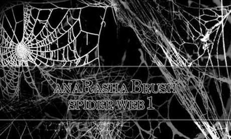 spider web brush