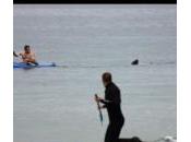 Usa: L’uomo kayak inseguito squalo