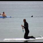 Usa: L’uomo in kayak inseguito da uno squalo