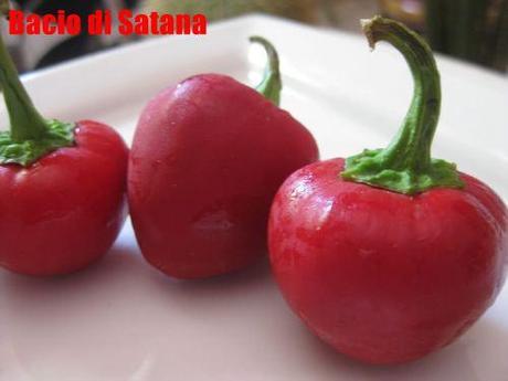 Il fuoco nel piatto: il peperoncino