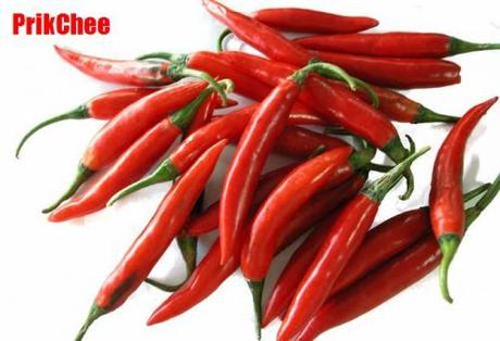 Il fuoco nel piatto: il peperoncino