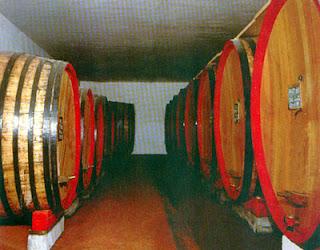 Cantine del Matino, un secolo di vini e passione - Dal 1899 ad oggi, una cooperativa di produttori impegnati nella sfida della qualità