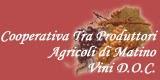 Cantine Matino, secolo vini passione 1899 oggi, cooperativa produttori impegnati nella sfida della qualità