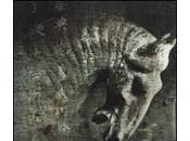 Gavriel Kay: rinascita Shen