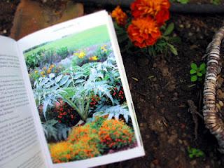 12 mesi nell'orto di Mimma Pallavicini