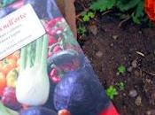 mesi nell'orto Mimma Pallavicini