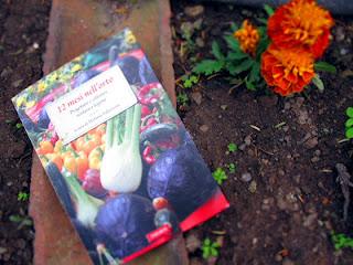 12 mesi nell'orto di Mimma Pallavicini