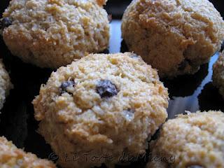 Biscotti al cocco, gocce di cioccolato e cannella