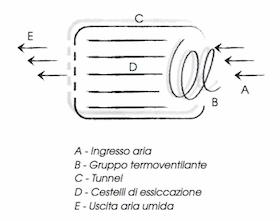 ESTATE: IL TEMPO GIUSTO PER ESSICCARE VERDURE E FRUTTI