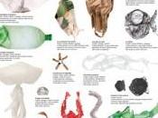 mediterraneo inquinato!