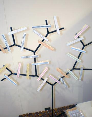 DIY with clothes pins...