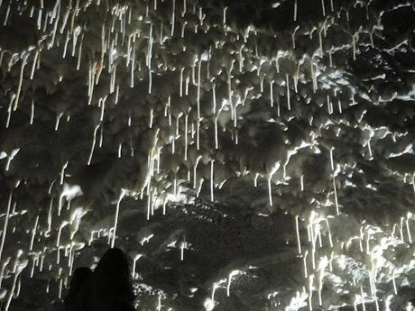 Slovenia primo giorno. Le grotte di Postumia