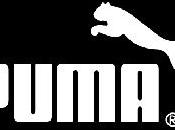 Puma Zebre, annunciato matrimonio