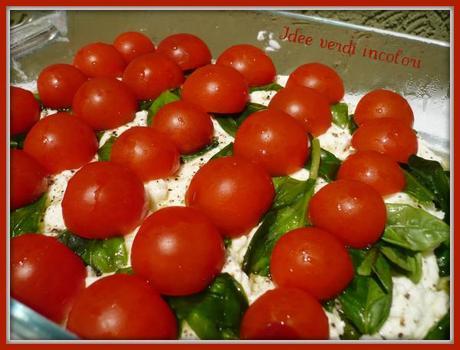 Caprese di stracchino Caprese di stracchino