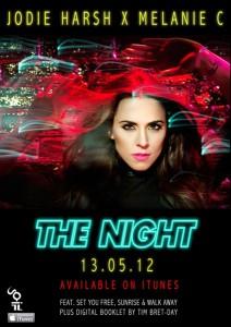 Il poster di 'The Night'