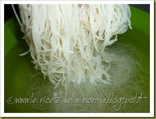 Vermicelli di riso saltati con maiale, verdure, zenzero e peperoncino verde piccante (8)