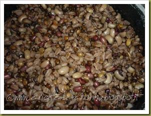 Bruschetta con zuppetta tiepida di farro e legumi (7)