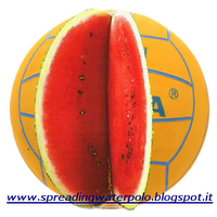 VI Trofeo dell'Adriatico di Pallanuoto 28-29 Luglio 2012