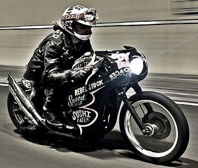 News from Ornamental Conifer