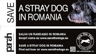 Parah sostiene Save the Dogs nella salvaguardia degli animali