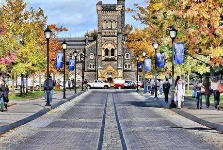 Sul lavoro, sogni di mezza estate e competenze