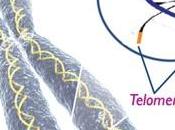 gioco della vita morte: telomeri