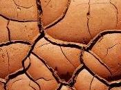 miglioria terreno argilloso