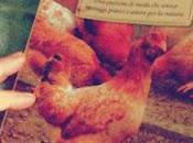 pollaio tutti. passione moda unisce vantaggi pratici amore natura Andrea Mangoni